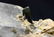 138 Grams Green Cap Stiknala Tourmaline Specimen With - 4