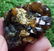 31 Grams Beautiful Spessartite Garnet Specimen