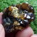 31 Grams Beautiful Spessartite Garnet Specimen - 4