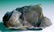 75.3 Grams CUBIC FLUORITE MINERAL FROM BALUCHISTAN