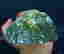 item-85344563=5