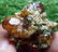 25 Grams Beautiful Spessartite Garnet Specimen