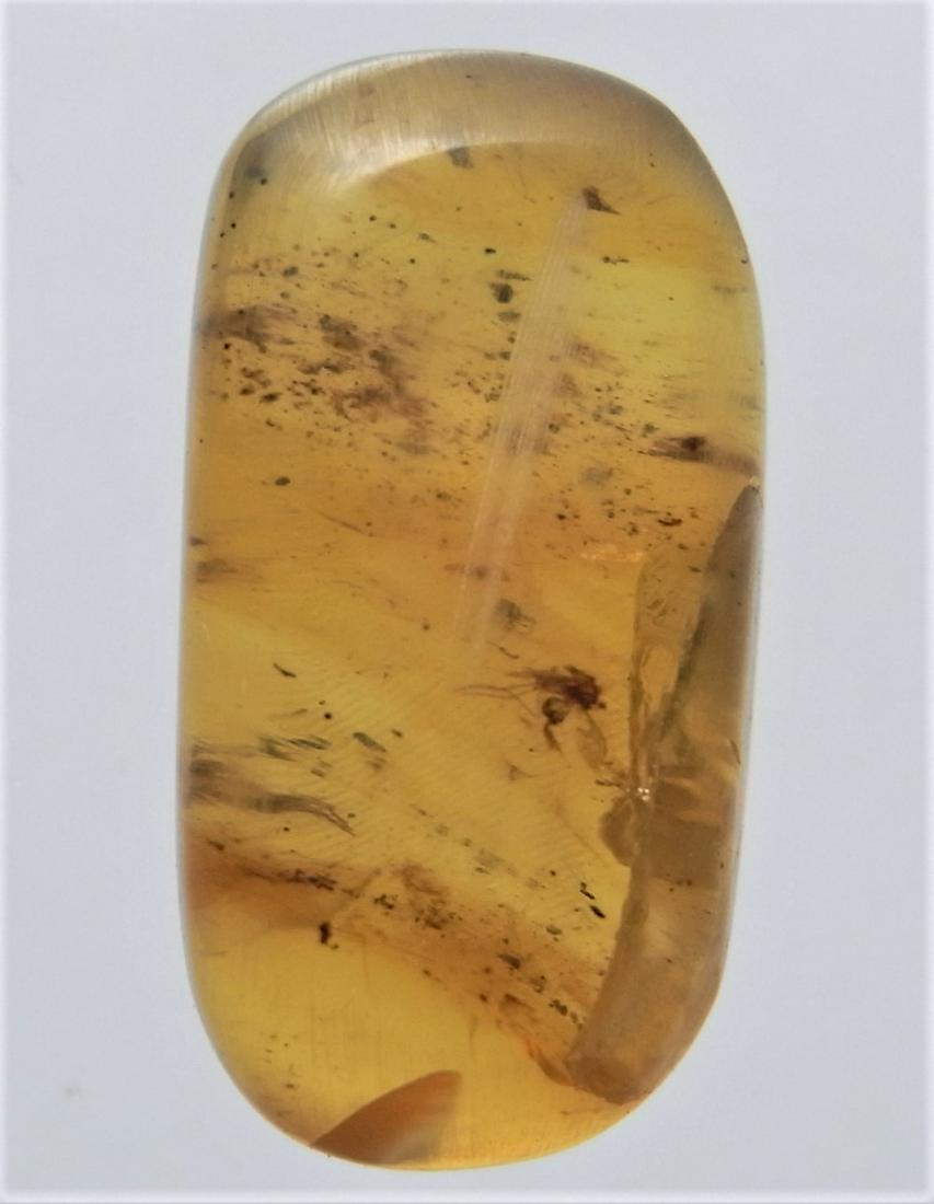 100 MILL YEARS OLD BURMITE AMBER WITH MULTIPLE INSECT: Title: 100 MILL YEARS OLD BURMITE AMBER WITH MULTIPLE INSECT Origin: Hukawang Valley, Kachin State, Myanmar Size: 2x1.05x0.7 cm / 1.19 gram Description: light yellow burmite amber with multiple insect