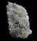 CALCITE PSM CORAL - NEW DISCOVERY - 3