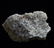 CALCITE PSM CORAL - NEW DISCOVERY - 4