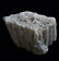 CALCITE PSM CORAL - NEW DISCOVERY - 5