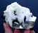 Tourmaline , Blue Cap Tourmaline Crystals with Smoky - 3