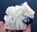 Tourmaline , Blue Cap Tourmaline Crystals with Smoky - 7