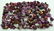105 Grams Beautiful Rough Ruby Lot - 2