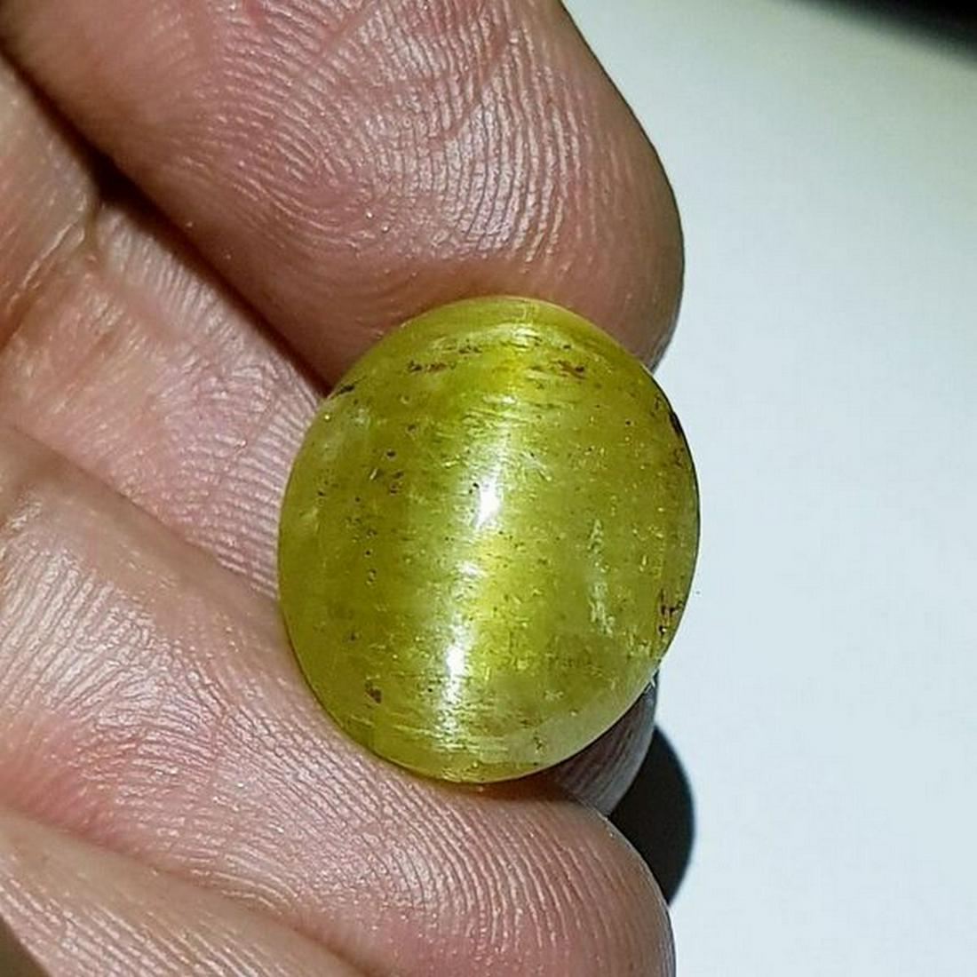 16.37 ct Natural Apatite cat's Eye: No Reserve! Title: 16.37 ct Natural Apatite cat's Eye Color/Clarity: Semi Transparent Gemstones: Loosegemstone Carat Weights: 16.37 Size/Dimensions: 16.50 x 13.50 x 9.00 Additional Information: Oval -