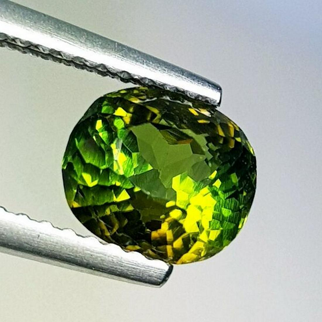 1.62 ct Natural Tourmaline Oval cut (1 of 7)