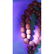 68 g. Vintage 100% natural Baltic amber necklace olives - 10