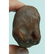 55 gr 100% natural Baltic piece of amber - 6