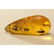 Amber stone with insect, inclusion some rare fly - 5