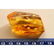 Natural 100% Baltic amber stone with insect, inclusion - 8