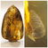 Natural Baltic amber stone with insect, inclusion some