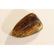 Natural Baltic amber stone with insect, inclusion some - 3