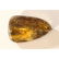 Natural Baltic amber stone with insect, inclusion some - 4