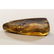Natural Baltic amber stone with insect, inclusion some - 7