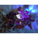 335 gram 100% natural Baltic amber tree, figure - 12