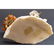 335 gram 100% natural Baltic amber tree, figure - 8