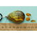 15 g. collection of 100% natural Baltic amber 3 stones - 14