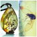 15 g. collection of 100% natural Baltic amber 3 stones