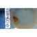 Natural Baltic amber stone with insect, inclusion some - 15