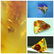 Natural Baltic amber stone with insect, inclusion some