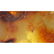 Natural Baltic amber stone with insect, inclusion some - 2