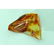 Natural Baltic amber stone with insect, inclusion some - 5