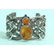 59 g. natural Baltic amber bracelet with Spider on it - 2