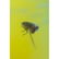 Natural Baltic amber pendant with fly (Diptera) insect, - 9
