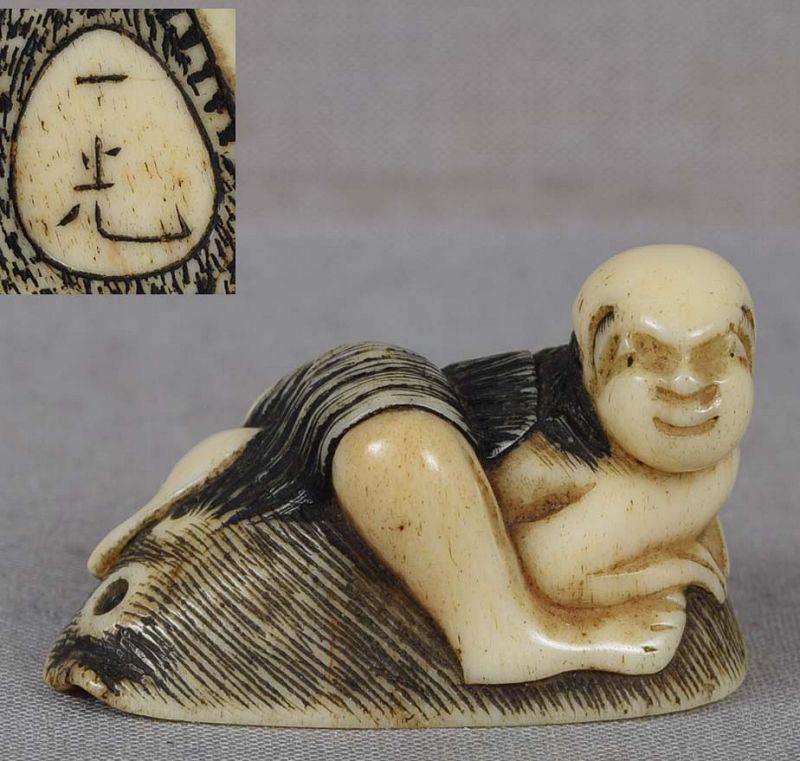 19c staghorn netsuke DIVER on abalone by IKKO: 19th century staghorn netsuke of a male diver wearing a woven straw sarong and climbing onto an enormous awabi - an edible abalone shell. Wonderful face, beautiful depiction of his clothes and abalone