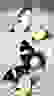 item-85361747=2