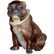 Victorian 19th Century Majolica Pug