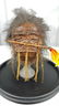 Replica Jivaro Arrow-nose Warrior Shrunken Head on - 2