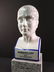 A porcelain medical bust - phrenology head