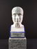 A porcelain medical bust - phrenology head - 3