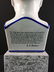 A porcelain medical bust - phrenology head - 4
