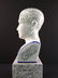 A porcelain medical bust - phrenology head - 5