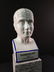 A porcelain medical bust - phrenology head - 6