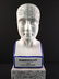 A porcelain medical bust - phrenology head - 7