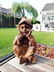 Antique garden gnome