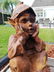 Antique garden gnome - 4