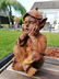 Antique garden gnome - 8