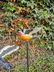 3 iron birds on a stick - Garden decoration - colorful - 8