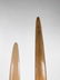 Fine Pair of Swordfish Tusks (Xiphias Gladius) with - 6