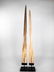Fine Pair of Swordfish Tusks (Xiphias Gladius) with - 7