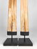 Fine Pair of Swordfish Tusks (Xiphias Gladius) with - 8